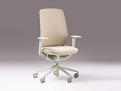 Gollinucci Daniele Reshape